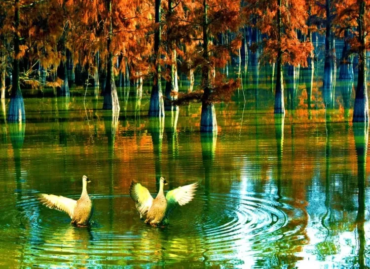 802159f4fdf07cca3301177d771d4e36-sz_251412