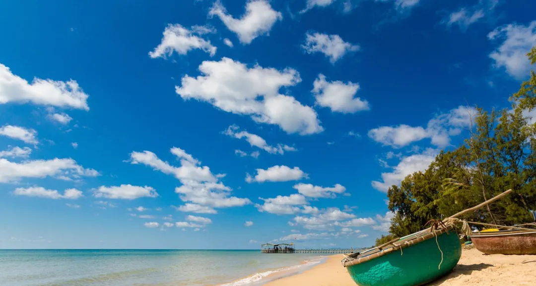 8034e1788ce92641638658faa76623fe-sz_229258-1