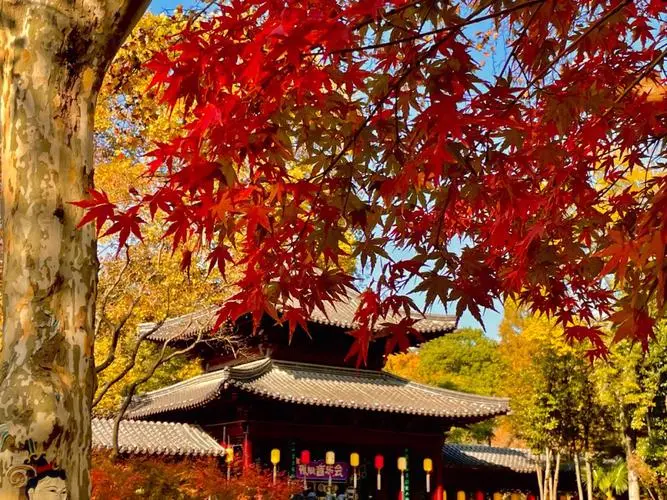 803b091c991e3d9342beb32669577e09-sz_112161-1 803b091c991e3d9342beb32669577e09-sz_112161-1