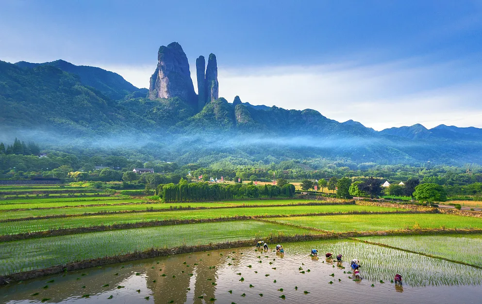 806ed48cc99171c44f9a7b82bd2bf428-sz_991956