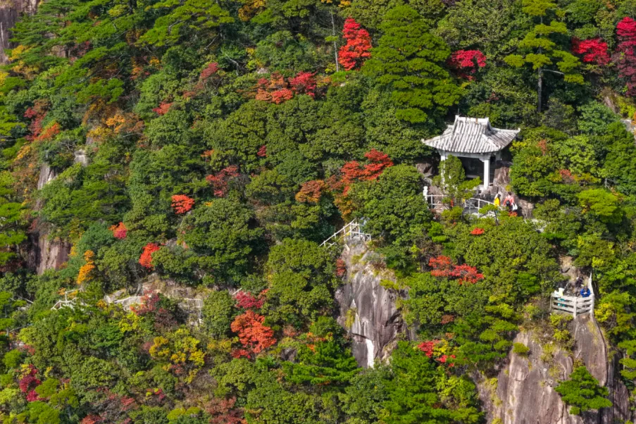 807c991b2ccd318fa19d453368622e18-sz_1383819