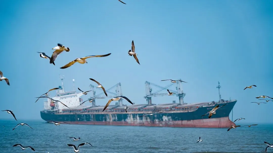 808cfa71f8f011b6217c09bd1ab122e2-sz_61999-1