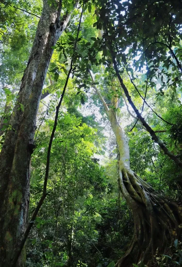 80efa4c2ae35a8dfcf36f755c497d880-sz_5258223 80efa4c2ae35a8dfcf36f755c497d880-sz_5258223