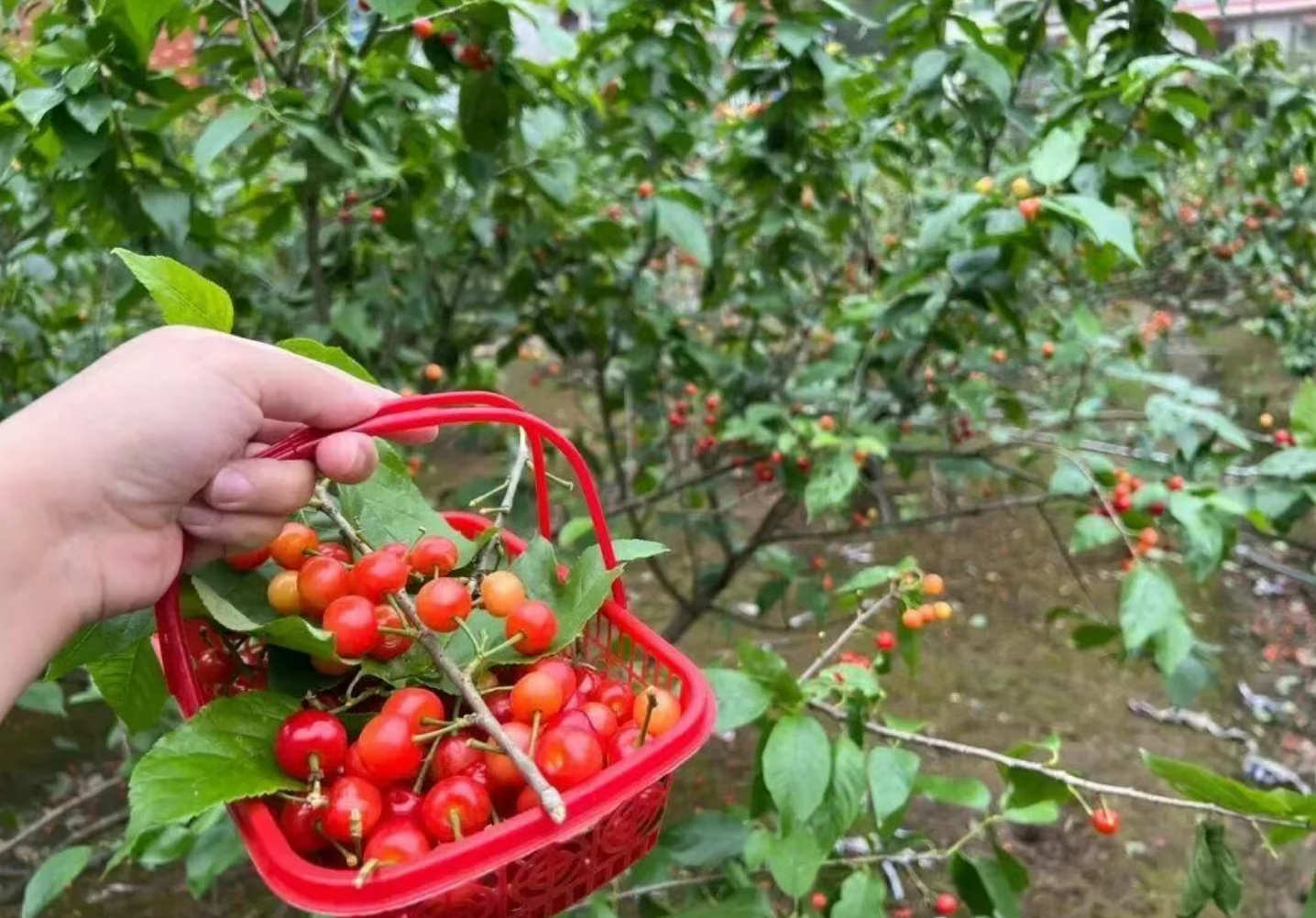 81188c2d770b94e9452ffba95791c67b