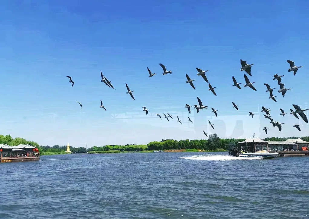 81564a52d34acd0e61387b2dd2fd7faf-sz_849811 81564a52d34acd0e61387b2dd2fd7faf-sz_849811