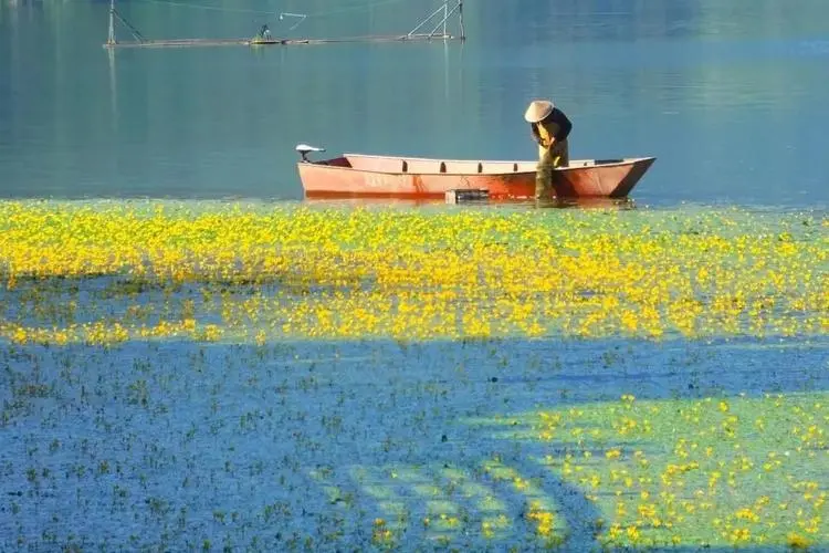 815beac4bc660d191545fcbe6f8bf6ba-sz_67013