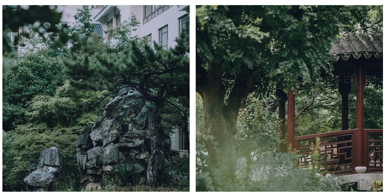 8177fc69a611c50b95a96764248a4314