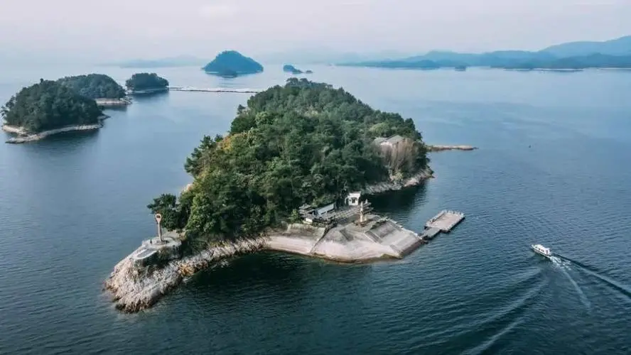 817a5fff5e7cf4e9630ffb8459e2c6bd-sz_58635-1