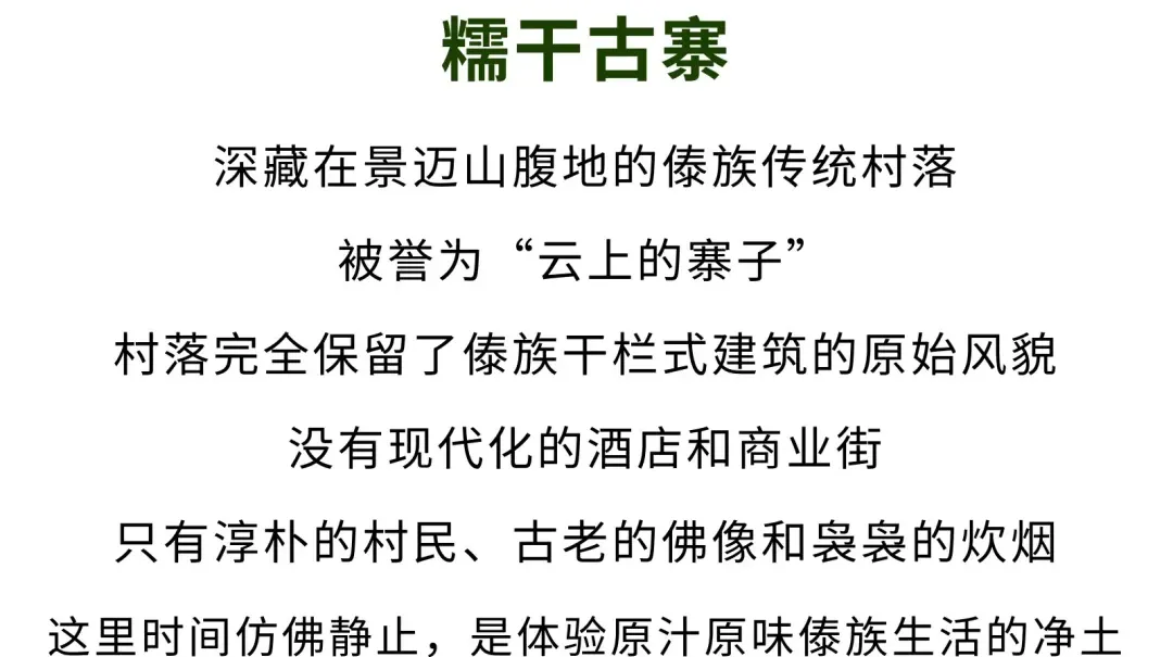 819e8a748a70d90fee5fd521781befdb-sz_1772180