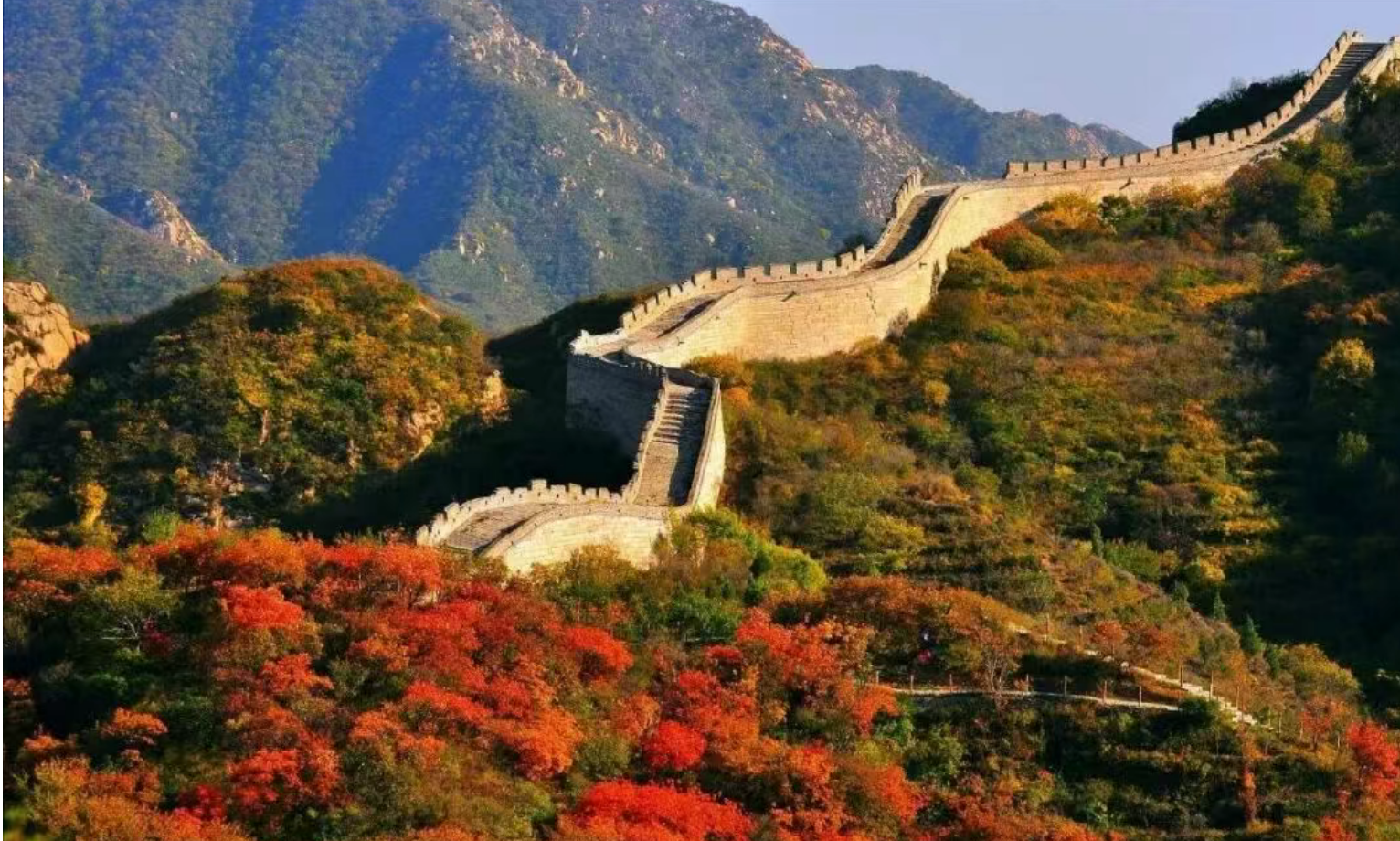 81a8bf88361e13d7af5aa972a7eedddd