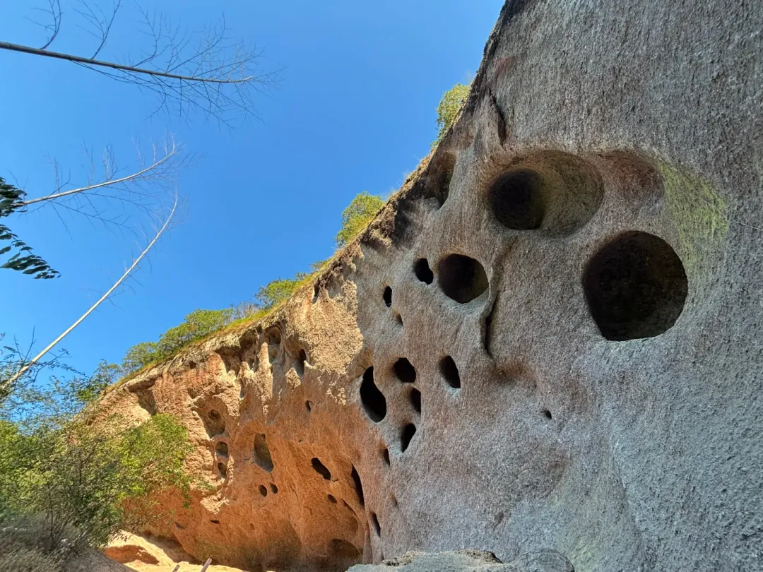 81cb902bef01202ed0f1b197371e3c7d-sz_2736489