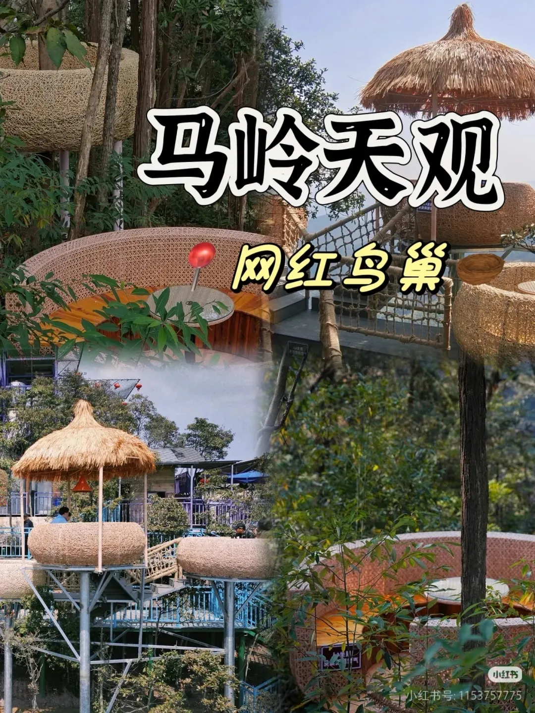 81e5ebc1d42fe16b9b1bf4574f97320a-sz_810534