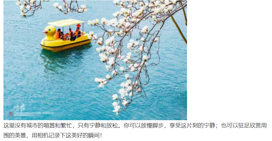 82292a964574f8bed7805c396bec9a0d