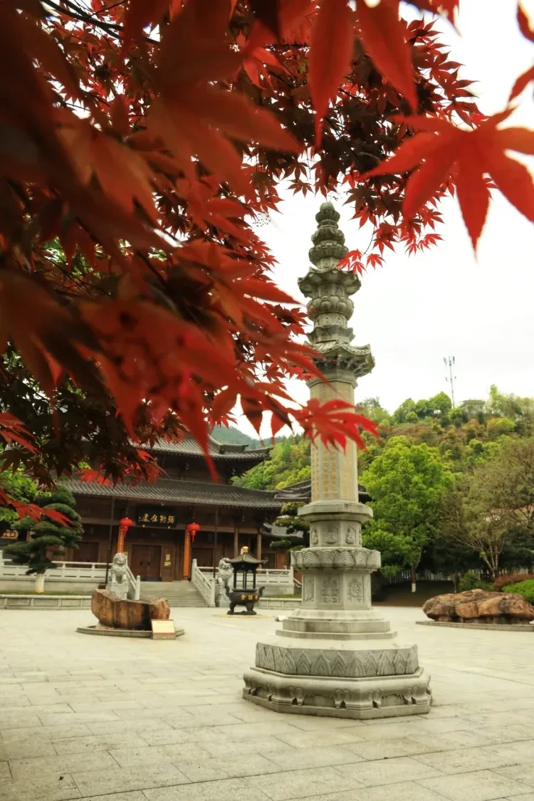 823e9f6b3d7b70fcd50bf6f4fcb1f7a6-sz_3159477 823e9f6b3d7b70fcd50bf6f4fcb1f7a6-sz_3159477