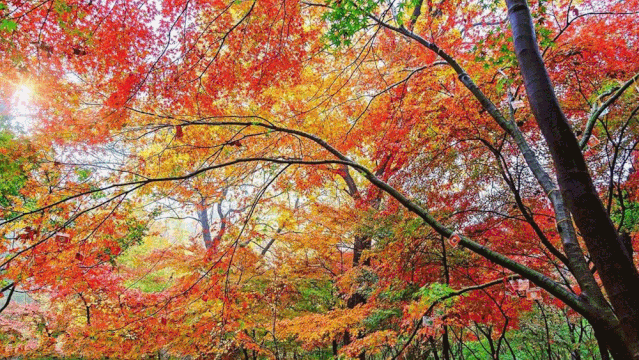 825df93d5e08649422c7e04d148761ba-sz_757107-1 825df93d5e08649422c7e04d148761ba-sz_757107-1