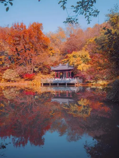 8283a09e259b6687cfd4c3ddff23b10a-sz_63868