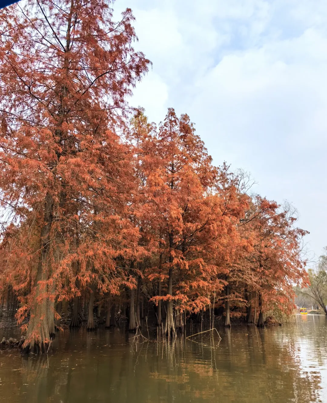 82aa30e7e002f03c0f7c75c4e5138473-sz_2006062 82aa30e7e002f03c0f7c75c4e5138473-sz_2006062