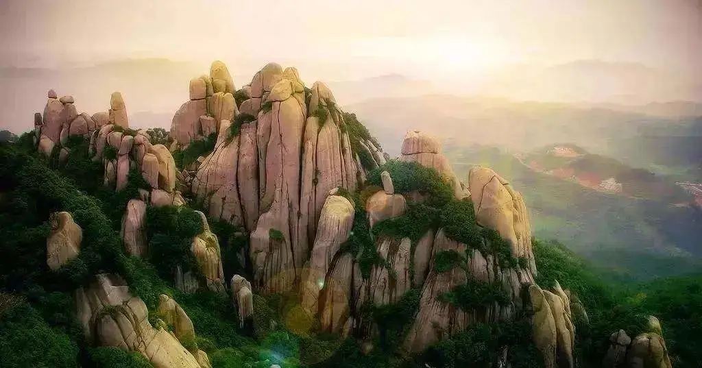 82b482e63daf15c787cd30d8dd2d53a9-sz_67195