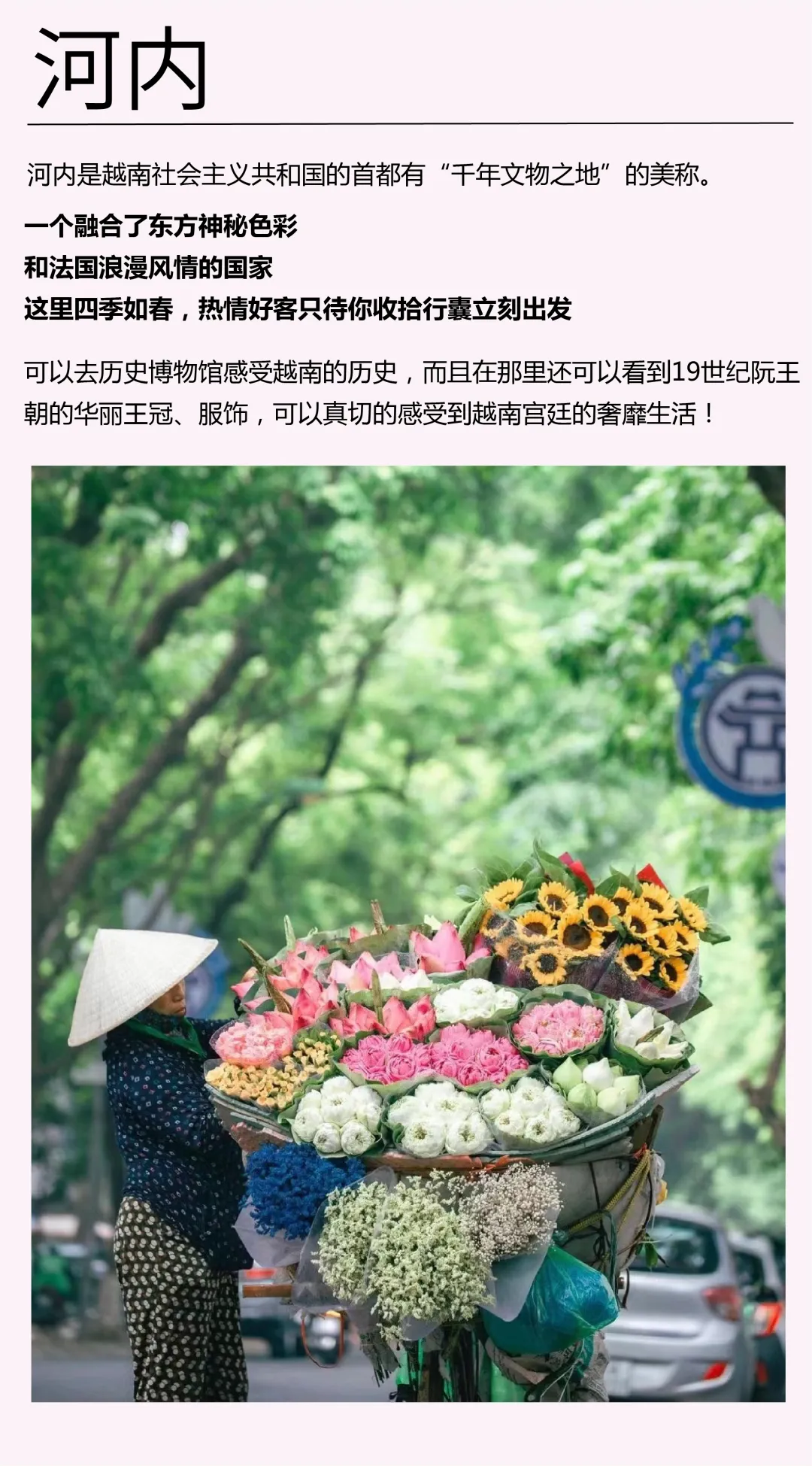 82d0999e58be7aaf2018e343a2b5b307-sz_3740371-1