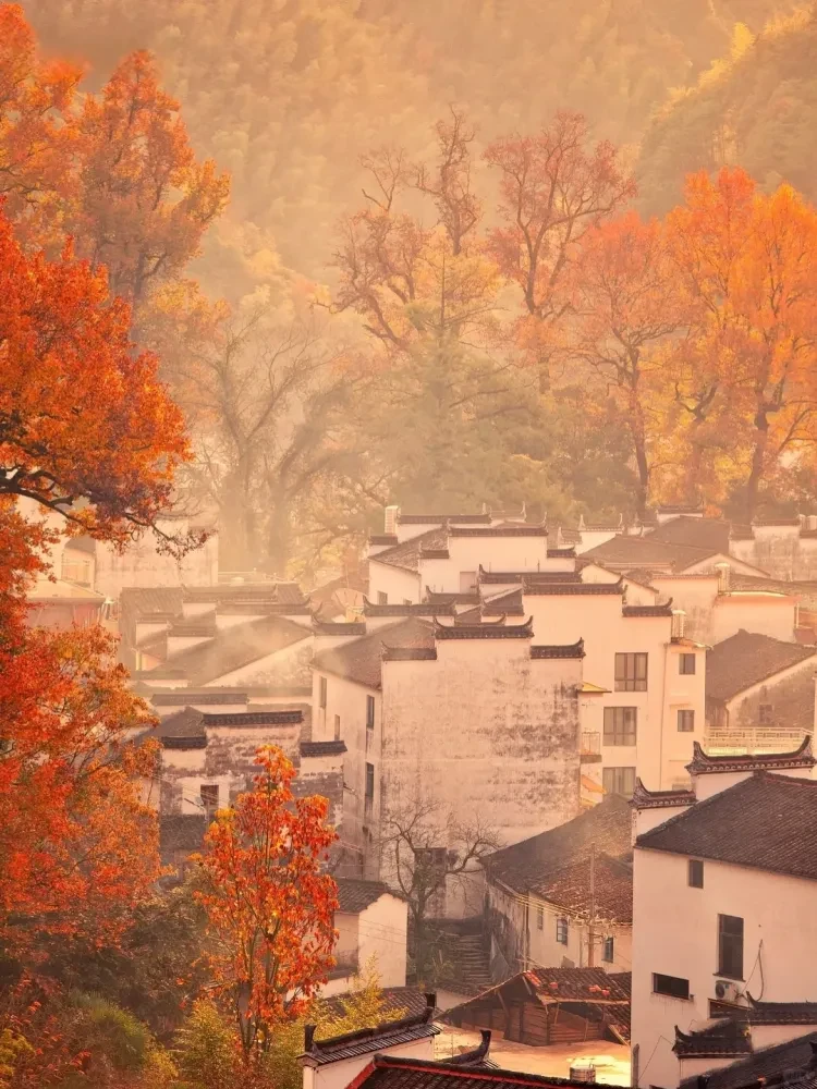 82f9cda8f240bb6469e60754d91b98d5-sz_3964443 82f9cda8f240bb6469e60754d91b98d5-sz_3964443