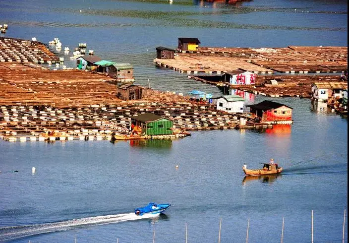 83070f2ec490a11ff50d4b5a966862c6-sz_88321 83070f2ec490a11ff50d4b5a966862c6-sz_88321