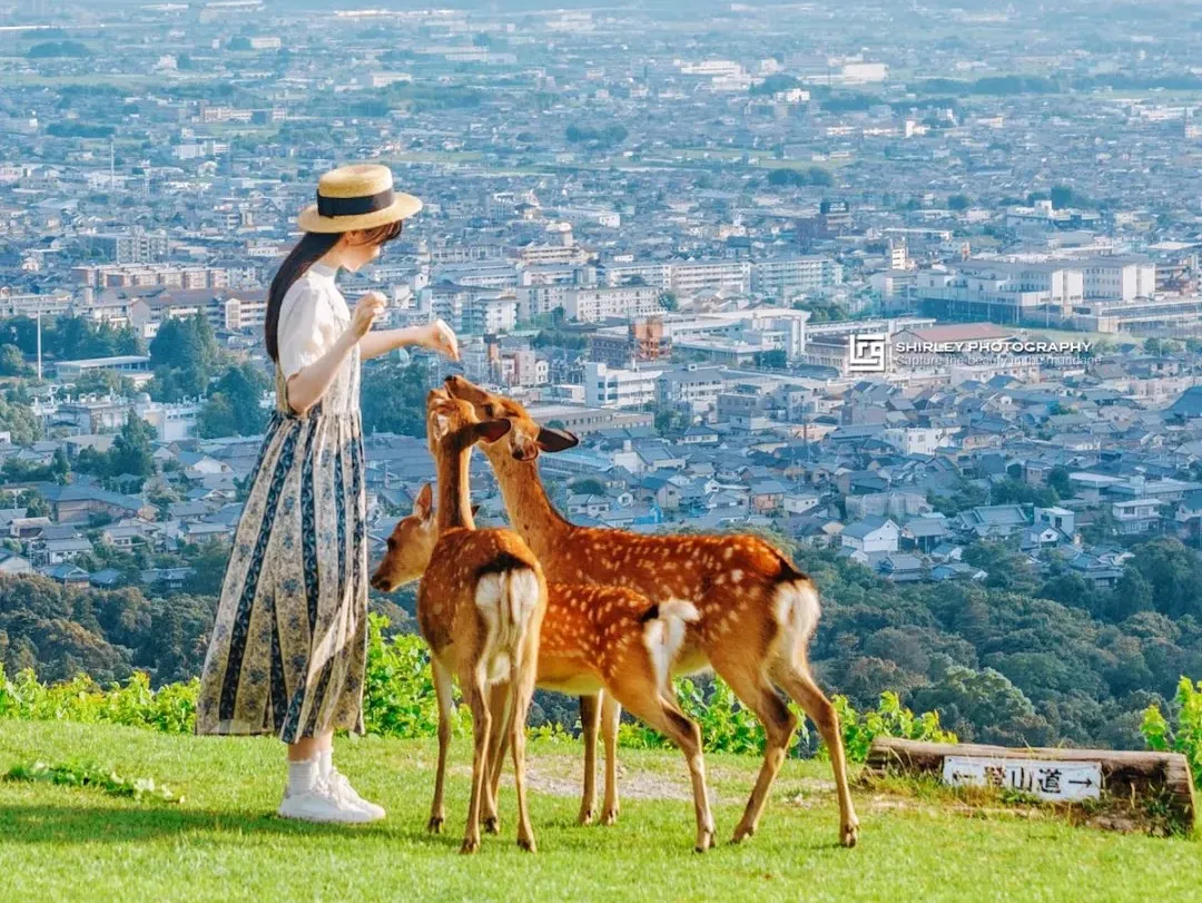 831b870e76a49f41991895970ed7bd15-sz_432604 831b870e76a49f41991895970ed7bd15-sz_432604