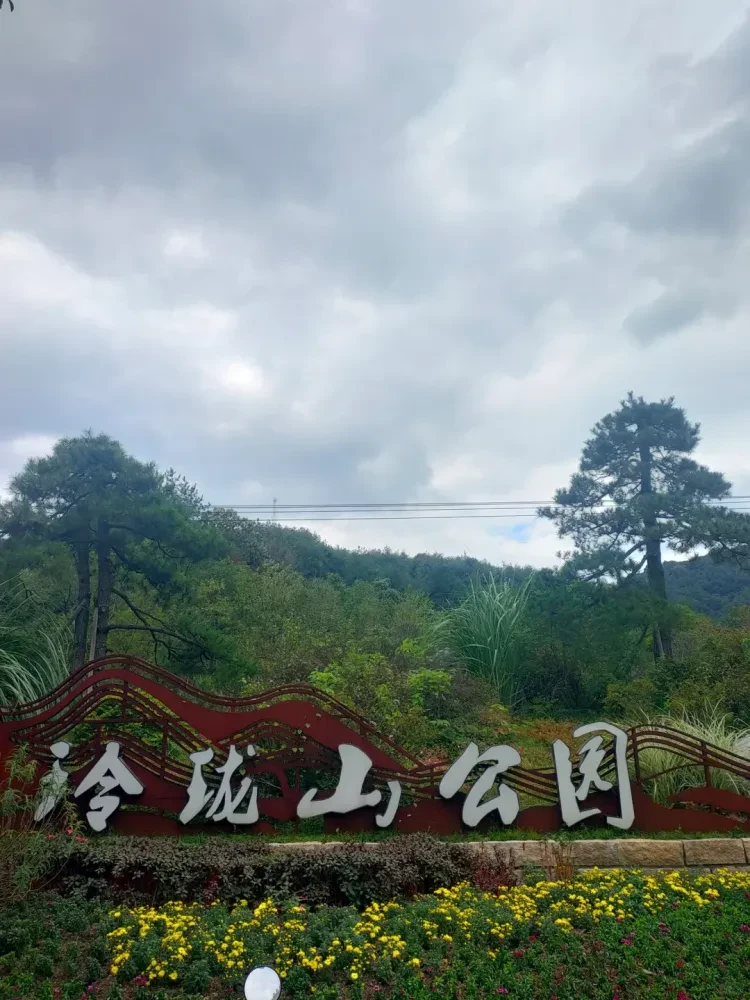 83313274d4f15266585cad85dd8f6577-sz_2343894