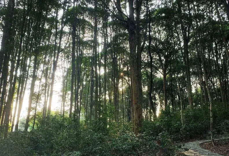 83aa013941ced0912e4076a06afe112e-sz_174410 83aa013941ced0912e4076a06afe112e-sz_174410