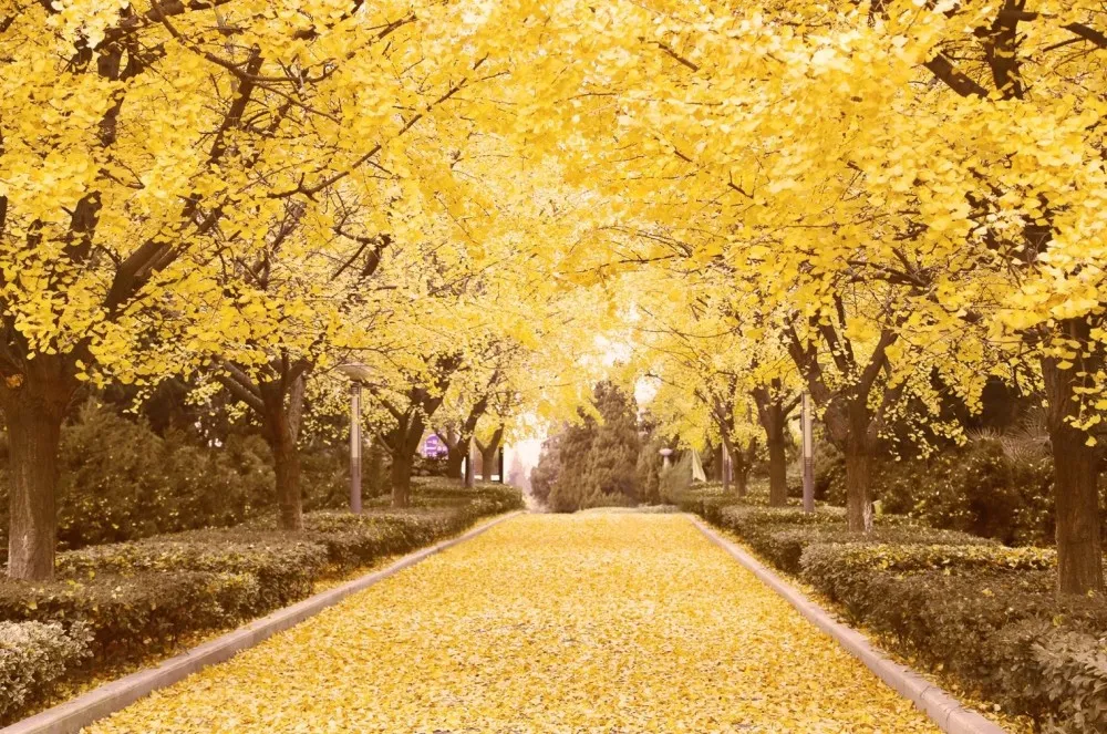 83cff053e0ba59028e6f0b84ba86b398-sz_309344 83cff053e0ba59028e6f0b84ba86b398-sz_309344