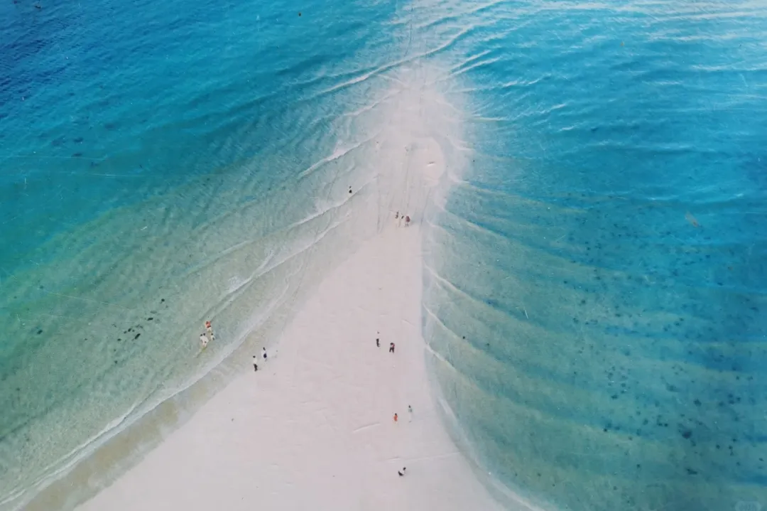 83ed4d284e338dd82dde5954b192193f-sz_314412