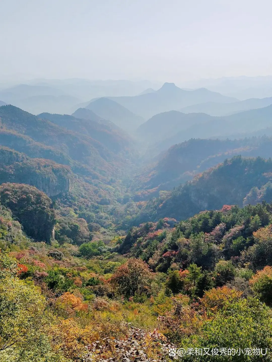 8422b000592c9925c9d8e2860e7eeaaa-sz_363789 8422b000592c9925c9d8e2860e7eeaaa-sz_363789