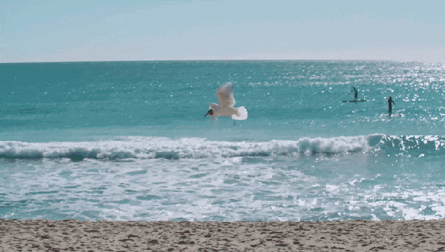 843a28dfab8324e7fe0018d2d597b0d6-sz_908124 843a28dfab8324e7fe0018d2d597b0d6-sz_908124