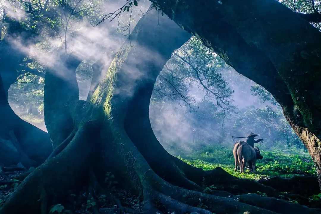 845b3a055748a44936dea0f7ca313877-sz_159934