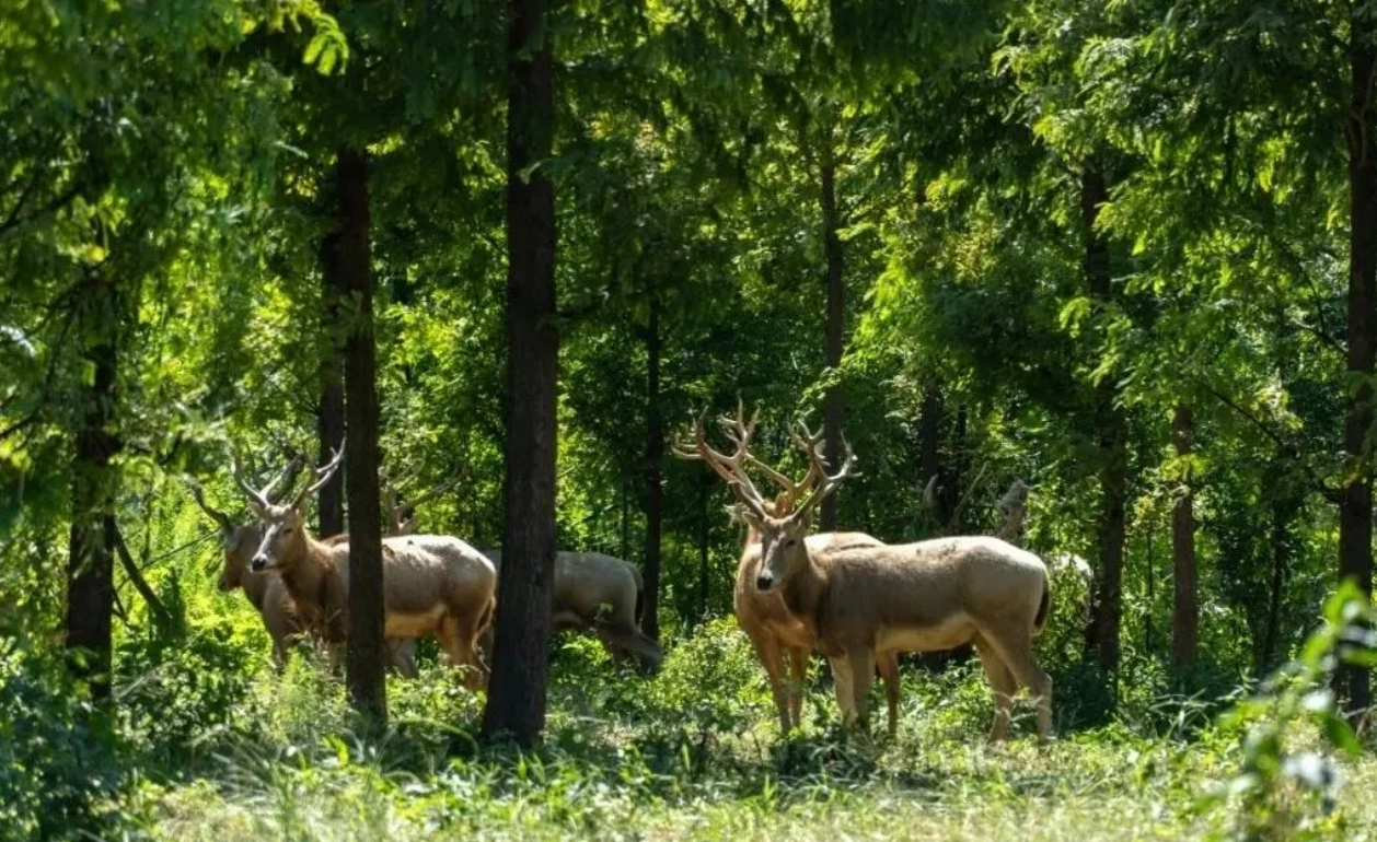 8488f7fb9b67fed9172cb45db0c401da 8488f7fb9b67fed9172cb45db0c401da