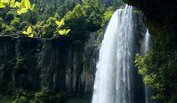 848baf44e039af5b4d6422fa0266f597-sz_459769