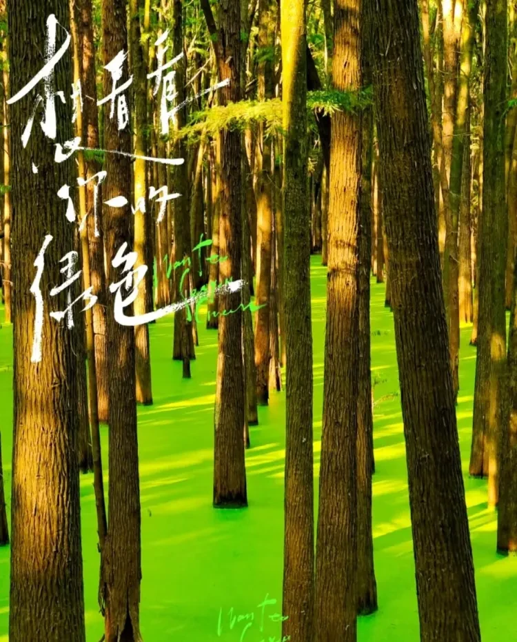 84ddbe48d3d61aff7417210aaf5053d7-sz_387832