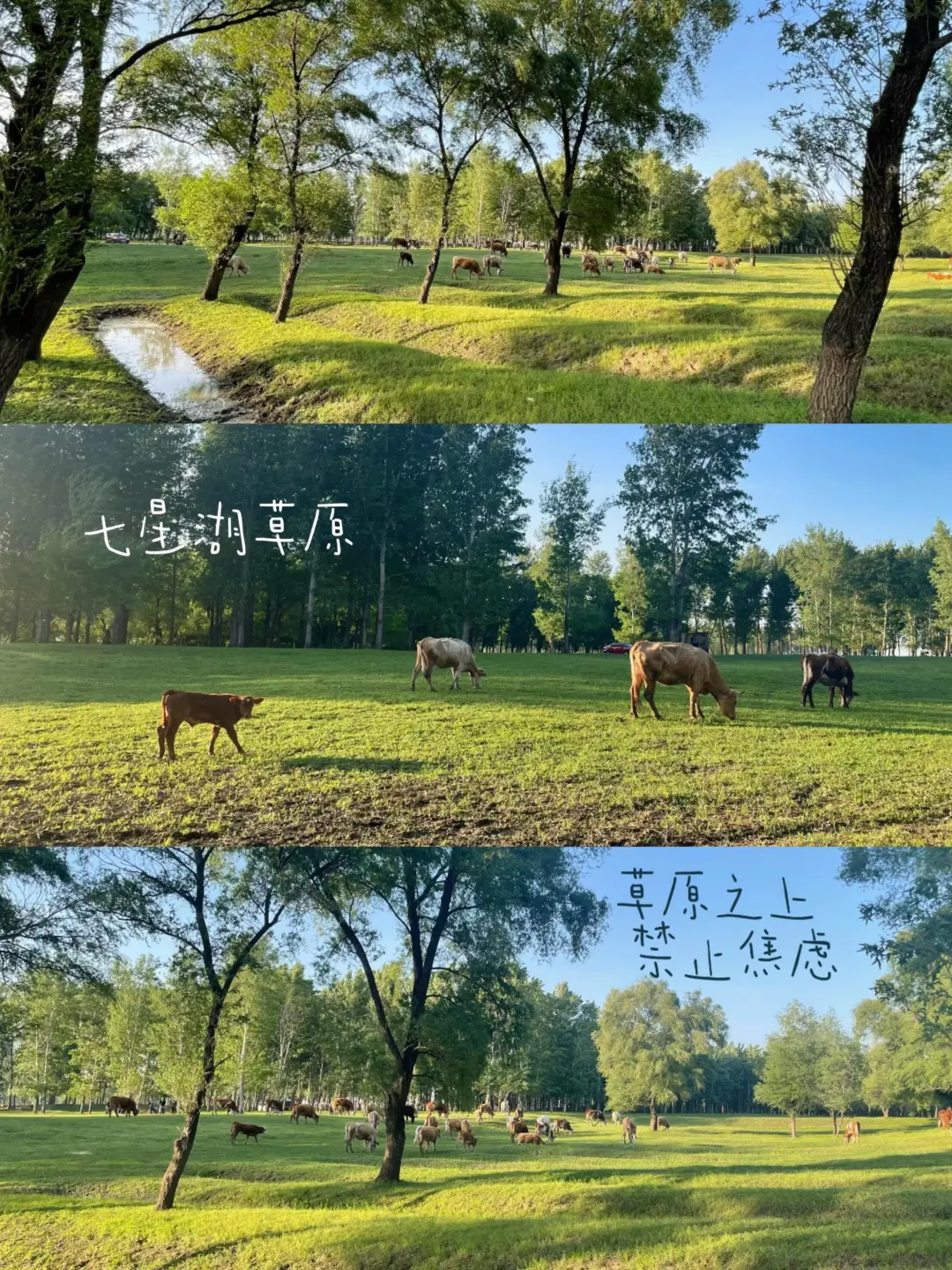 85303ebc630a4ce8cd010d977958cd65-sz_1269893 85303ebc630a4ce8cd010d977958cd65-sz_1269893