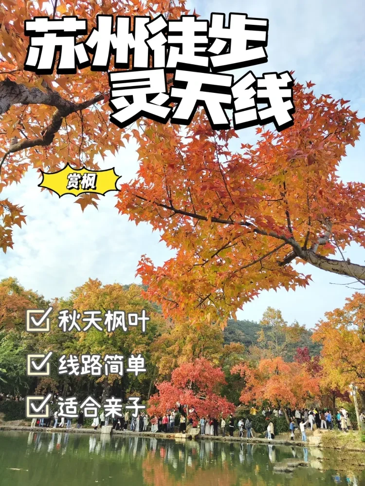 8547aafae094c2887009557933255ed4-sz_1811652