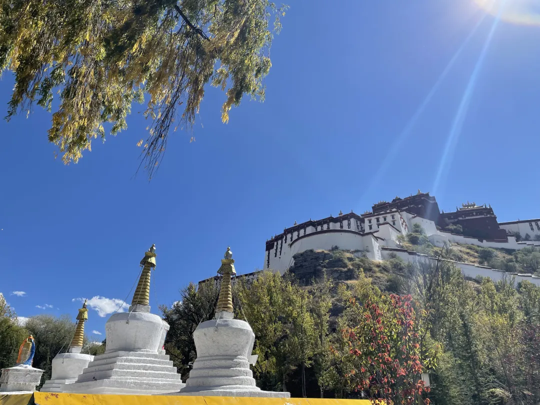 8567d614b406f76c1017c68fd2939091-sz_6641399 8567d614b406f76c1017c68fd2939091-sz_6641399