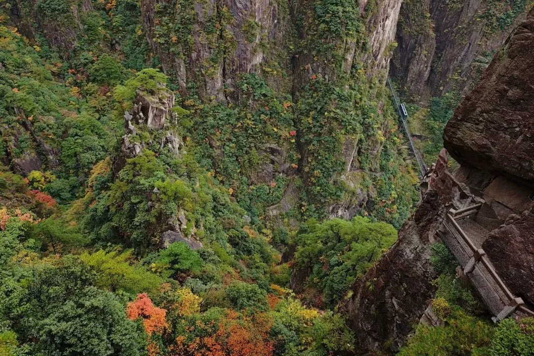 857ef0f1397b8110430873af7b3dc969-sz_296793