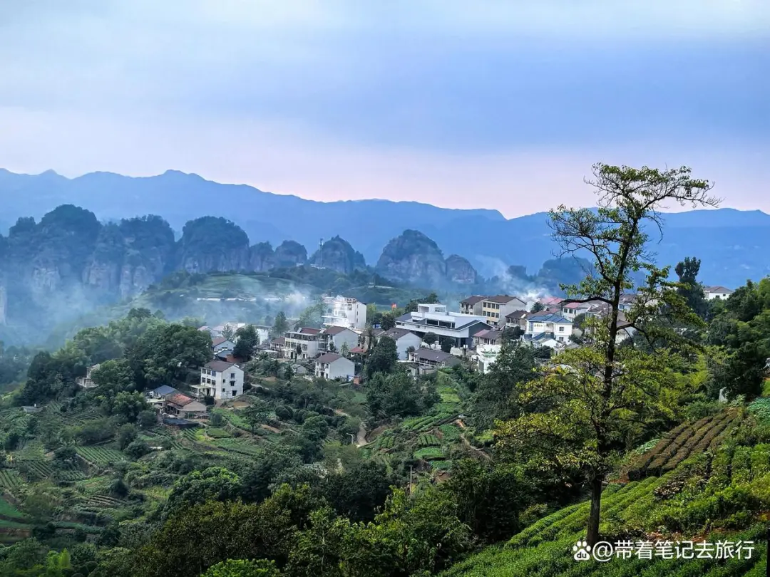 85c9951f66fbbe286860019757fe5ade-sz_230351