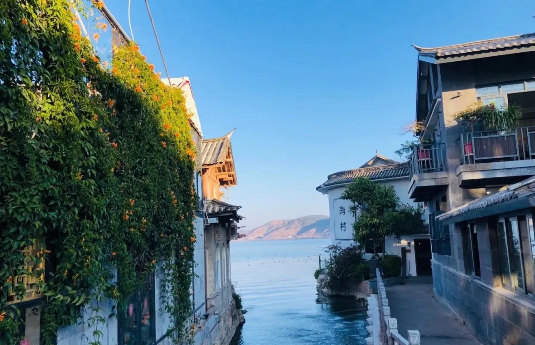 860250a8ee785dc9466f6fb681271086-sz_2790177-2