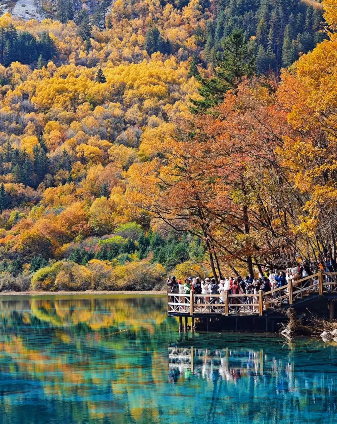 863f6aaf30a44d9591149ad94268e2d3-sz_688239-1 863f6aaf30a44d9591149ad94268e2d3-sz_688239-1