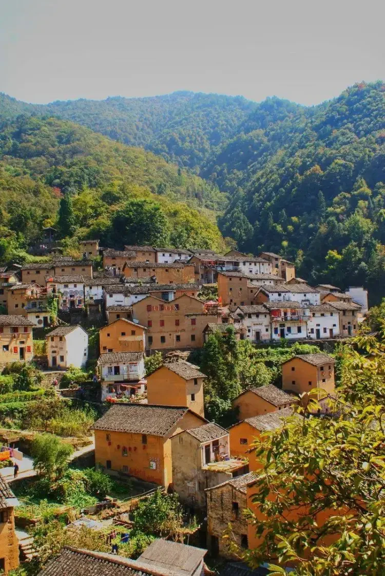 8678dacf5313b0ac4e85aa64cbafbdfd-sz_234390 8678dacf5313b0ac4e85aa64cbafbdfd-sz_234390