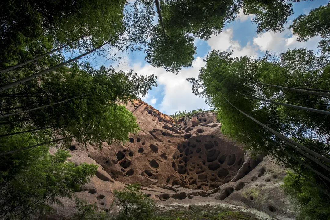 86ca33285ac5c72dbfd78a852b0ff818-sz_1682486