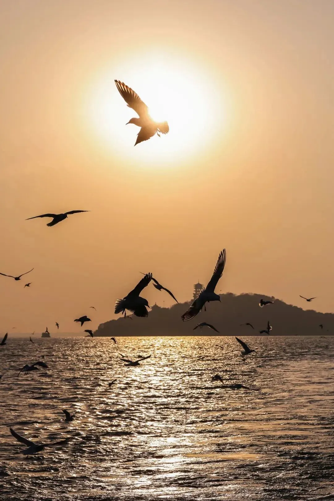 86d0ac2088a8a90919f0eee0d86d9cd5-sz_269175-1 86d0ac2088a8a90919f0eee0d86d9cd5-sz_269175-1