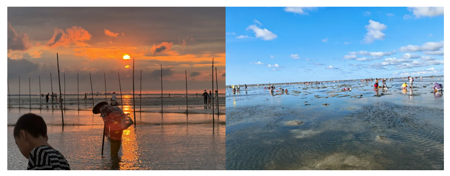 86ec20823f42f153596bb3d1e8fe73e2 86ec20823f42f153596bb3d1e8fe73e2