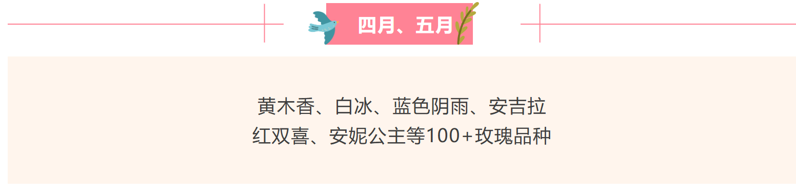 86f28ab24d2566def95dff1dd8e234cd