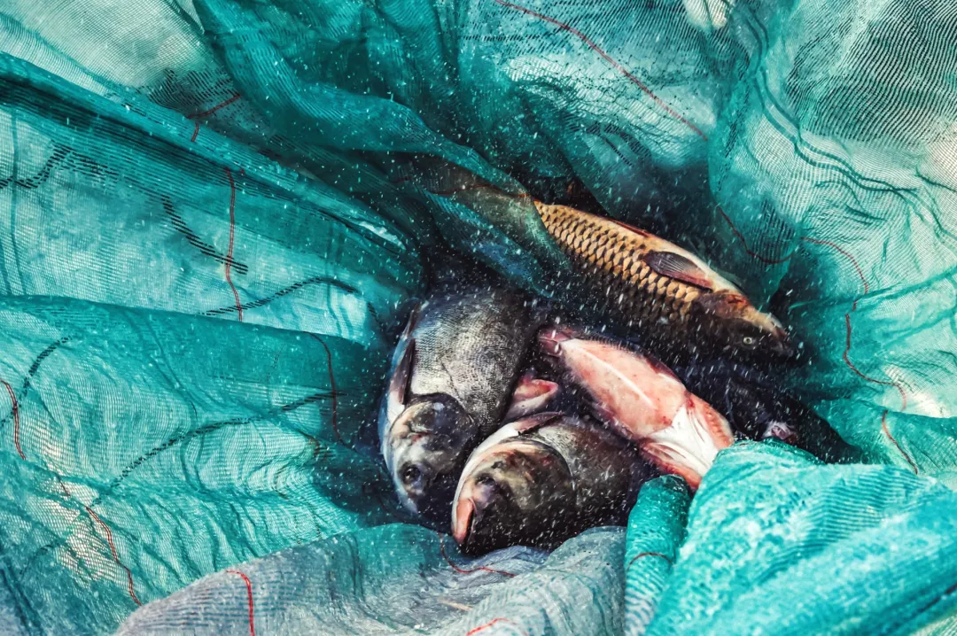 8721dc26ea43f9ff963dc96ae8d61daa-sz_5249104