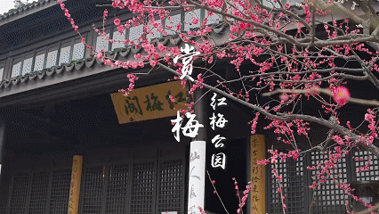 87257d57568817e303f43b95f6edc621-sz_7342692 87257d57568817e303f43b95f6edc621-sz_7342692